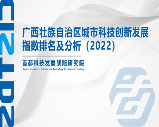 大鸡巴狠狠插美女阴道中出【成果发布】广西壮族自治区城市科技创新发展指数排名及分析（2022）